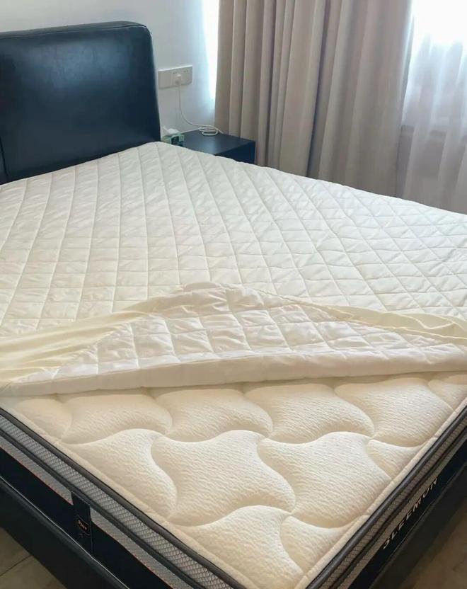 撑起租房半边天（能用好多年）瓦利棋牌8款「救大命」的好物(图28)